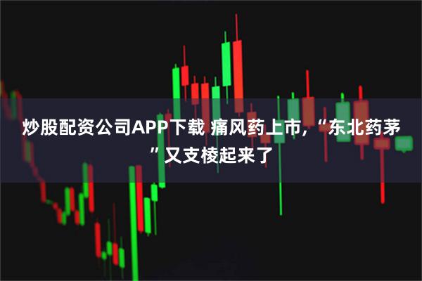 炒股配资公司APP下载 痛风药上市, “东北药茅”又支棱起来了