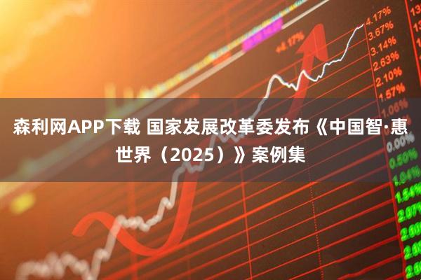 森利网APP下载 国家发展改革委发布《中国智·惠世界（2025）》案例集
