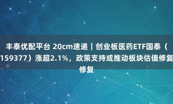 丰泰优配平台 20cm速递|创业板医药ETF国泰(159377)涨超2.1%,政策支持或推动板块估值修复