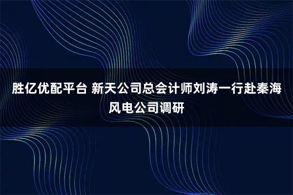 胜亿优配平台 新天公司总会计师刘涛一行赴秦海风电公司调研