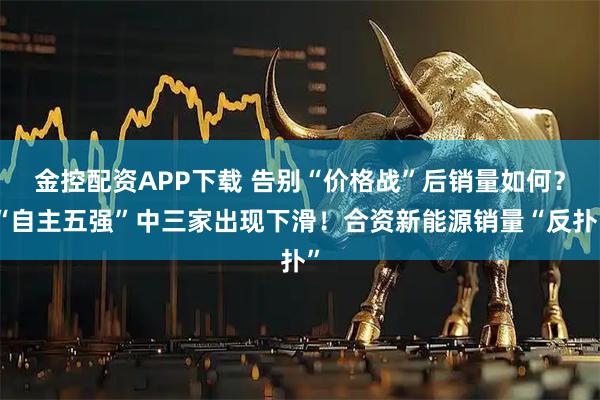 金控配资APP下载 告别“价格战”后销量如何？“自主五强”中三家出现下滑！合资新能源销量“反扑”