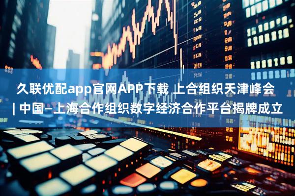 久联优配app官网APP下载 上合组织天津峰会 | 中国—上海合作组织数字经济合作平台揭牌成立